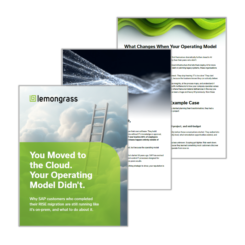 Lemongrass New Operating Model ebook