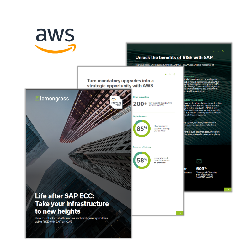 Lemongrass and AWS Infrastructure eBook