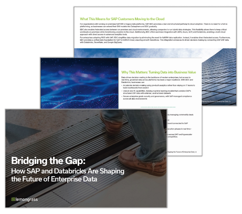 ebook SAP and Databricks