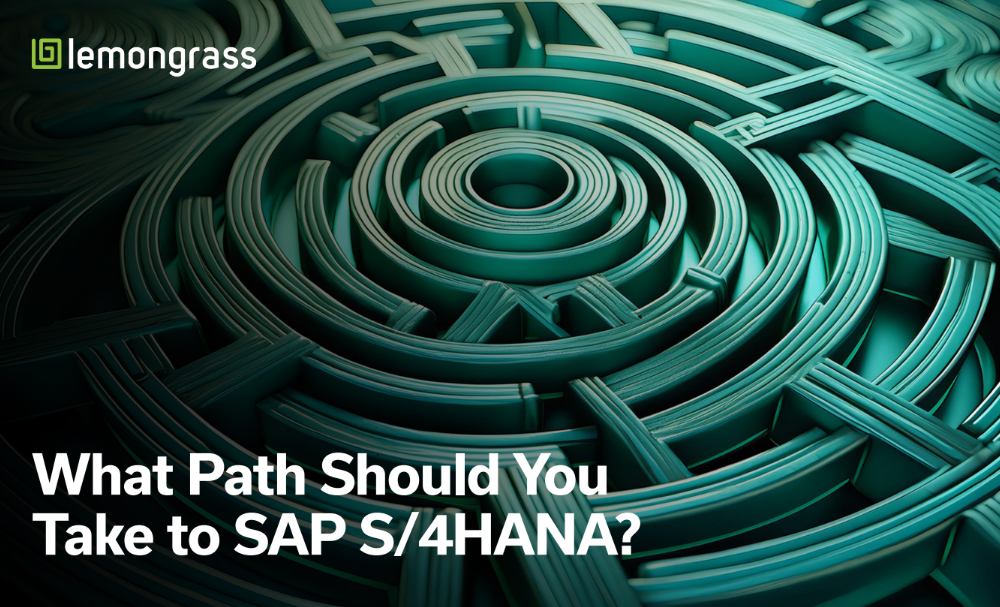 What Path Should You Take to SAP S/4HANA eBook Cover